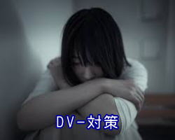 DV調査/対策