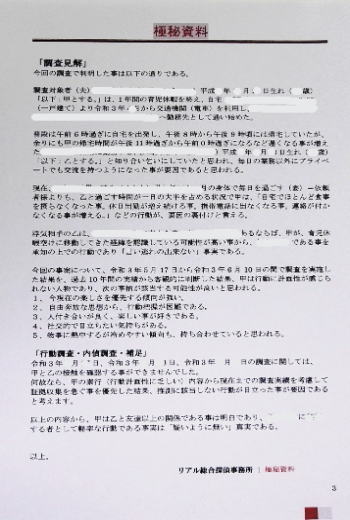 リアル総合探偵事務所（調査見解、真実を知る材料として。）サンプル2